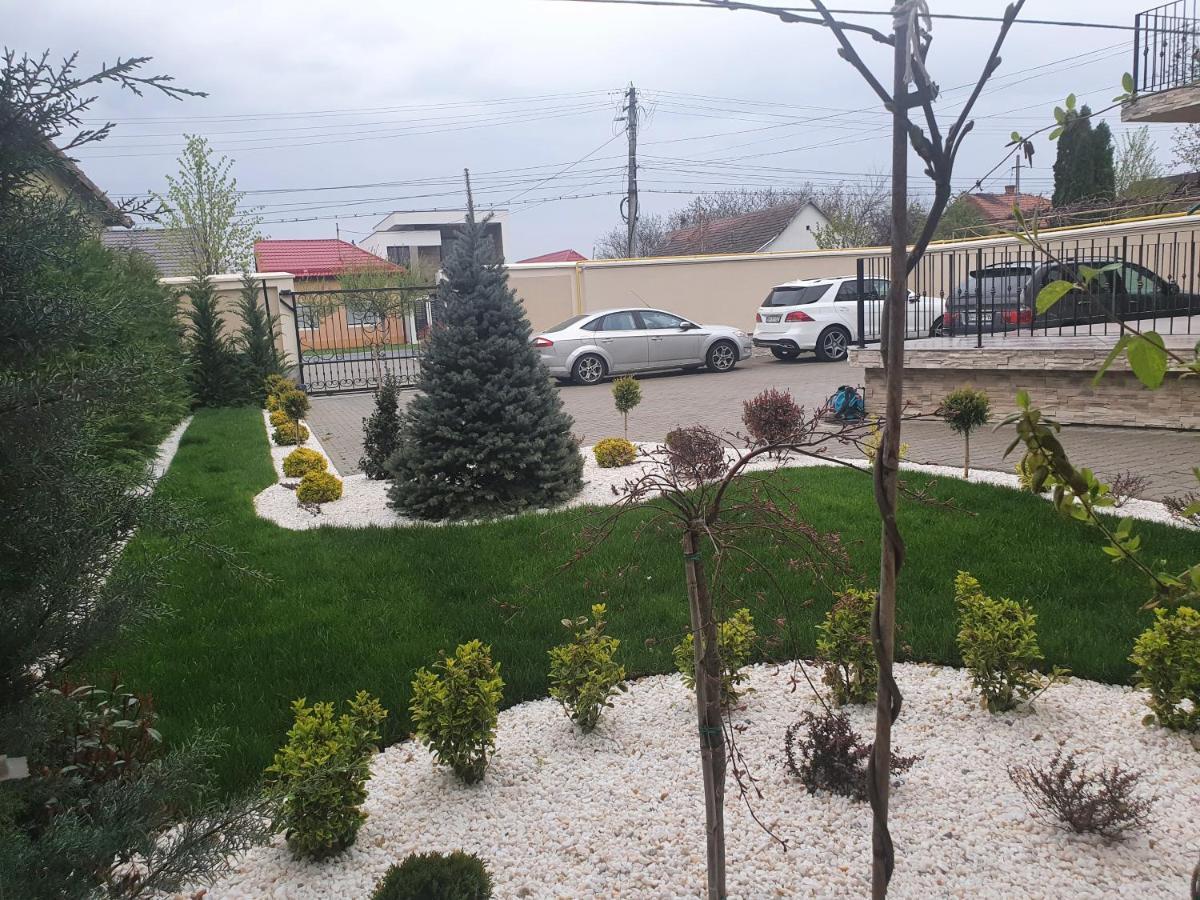 Pensiunea Mystique Arad Exterior photo